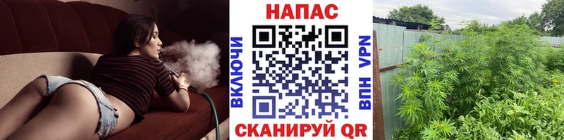 Купить наркотики сайты Ардон ГАШ АМФ Мефедрон БУТИРАТ Кетамин СК