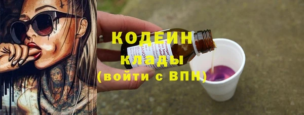 дурь Алексин