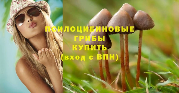 дурь Алексин